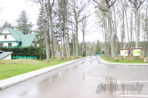 Проект "Туризм без чемодана": едем в Свислочь