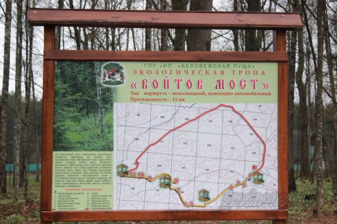 Проект "Туризм без чемодана": едем в Свислочь