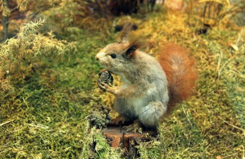 Проект "Туризм без чемодана": едем в Берестовицу
