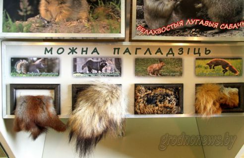 Проект "Туризм без чемодана": едем в Берестовицу