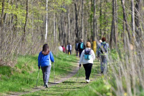 «Белые ходоки». Руководители гомельского клуба скандинавской ходьбы рассказали о пользе прогулок с палками в руках