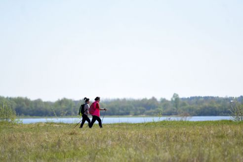 «Белые ходоки». Руководители гомельского клуба скандинавской ходьбы рассказали о пользе прогулок с палками в руках