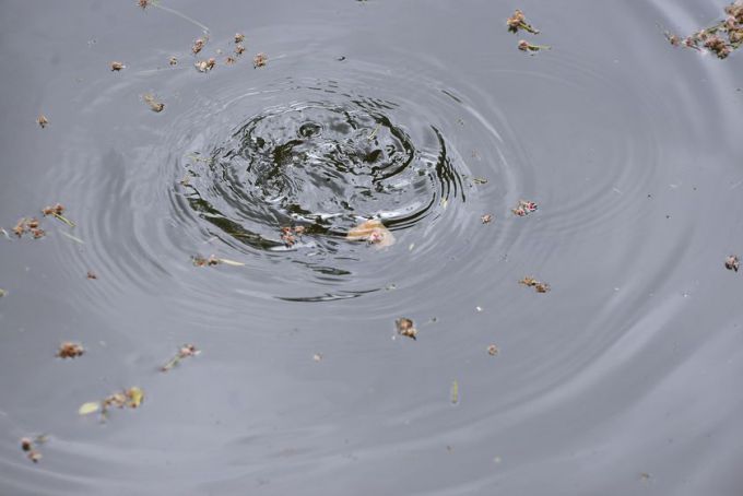 Гомельский ВСЗ устроил для детей своих работников рыбалку на заводском пруду