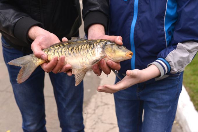 Гомельский ВСЗ устроил для детей своих работников рыбалку на заводском пруду
