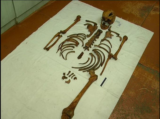 В Рогачевском районе тракторист наткнулся на мешок с костями и проломленным черепом