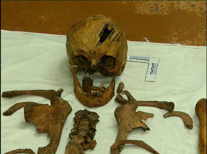 В Рогачевском районе тракторист наткнулся на мешок с костями и проломленным черепом