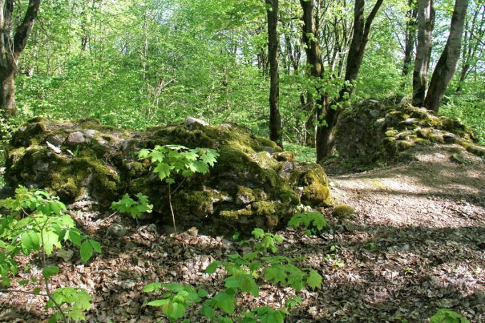 Проект "Туризм без чемодана": едем в Ивье