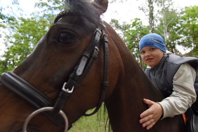Квест-игра, живой звук и пони: как встречали лето в парке Фестивальном