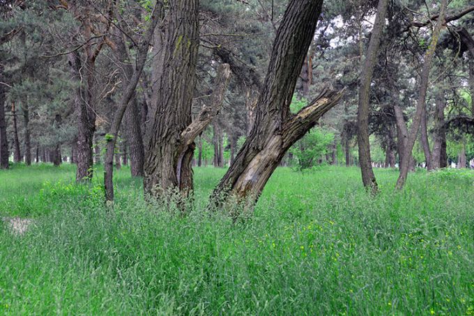 Сносная ситуация: на что рассчитывать жителям частного сектора в Советском районе