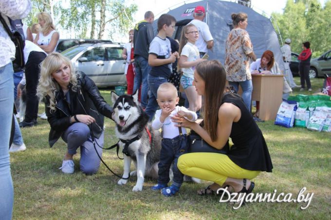 На Щучинщине можно было увидеть собак всех пород