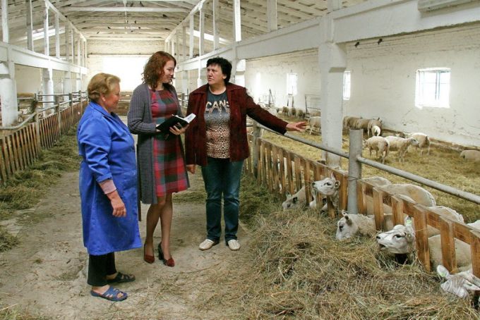 Проект "Туризм без чемодана": едем в Дятлово