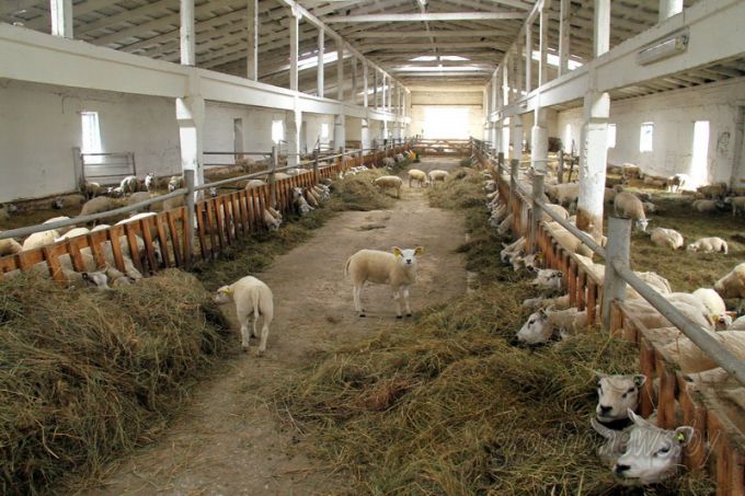 Проект "Туризм без чемодана": едем в Дятлово