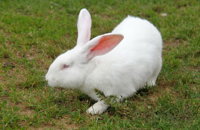 Проект "Туризм без чемодана": едем в Дятлово