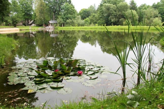 Проект "Туризм без чемодана": едем в Дятлово