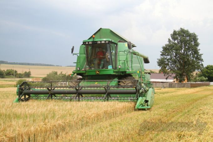 Массовая уборка зерновых и зернобобовых культур началась в Гродненской области