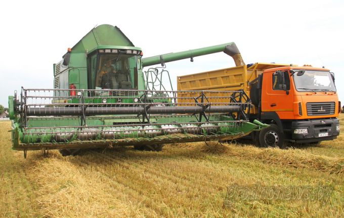 Массовая уборка зерновых и зернобобовых культур началась в Гродненской области
