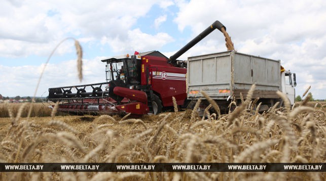 Министр сельского хозяйства ознакомился с ходом уборочной кампании на Гродненщине