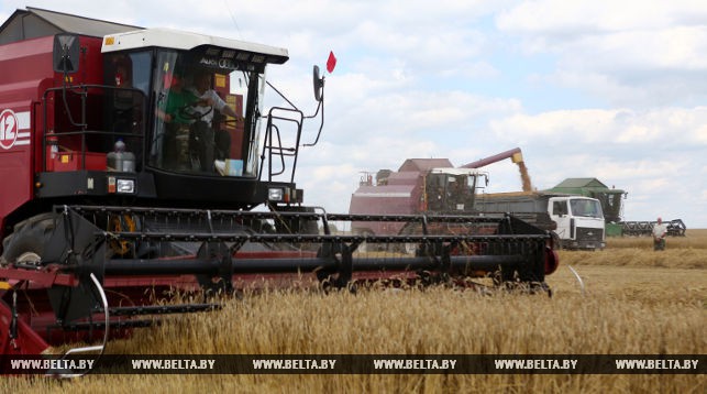 Министр сельского хозяйства ознакомился с ходом уборочной кампании на Гродненщине