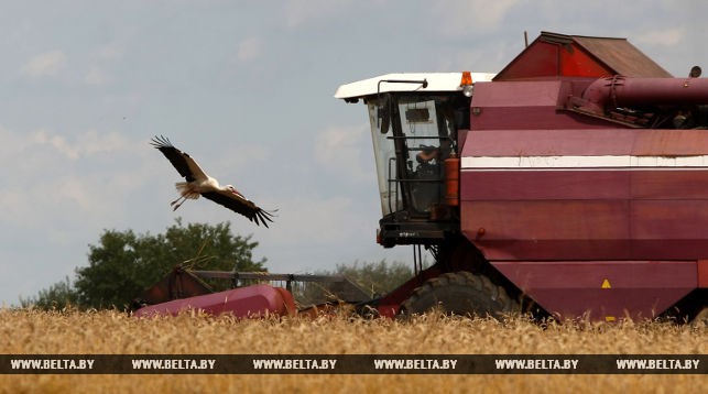 Министр сельского хозяйства ознакомился с ходом уборочной кампании на Гродненщине