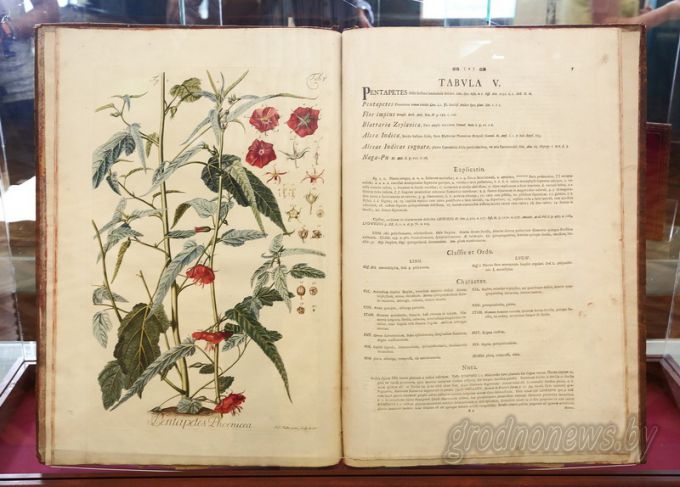 Таямніцы старых пераплётаў. Трактат настаўніка Францыска Скарыны дэманструецца на выставе ў Новым замку ў Гродне