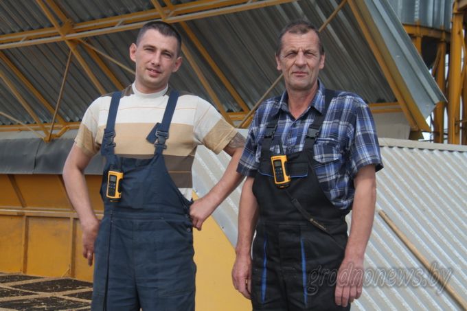 Больше сотни! Три хозяйства Гродненского района получают больше ста центнеров зерна с гектара