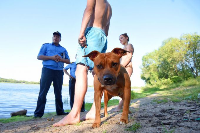 Патруль у воды. Гомельчан приучают культурно отдыхать на левом берегу Любенского озера