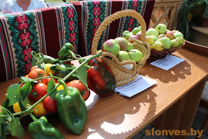 Медово-яблочный аромат: праздник пасечника и садовода прошел на Слонимщине