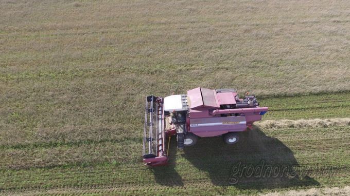 Помощь по-соседски. Завершившие уборку хозяйства Гродненской области отправляют комбайны в помощь соседним сельхозорганизациям