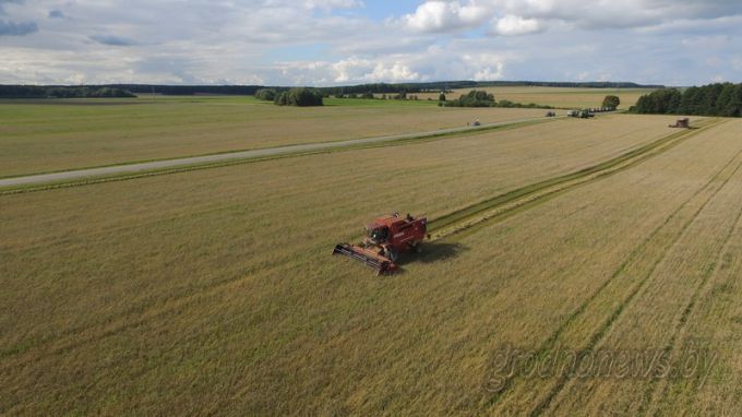 Помощь по-соседски. Завершившие уборку хозяйства Гродненской области отправляют комбайны в помощь соседним сельхозорганизациям