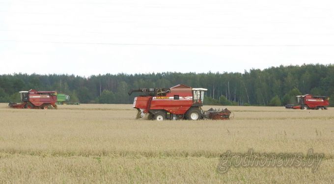 Помощь по-соседски. Завершившие уборку хозяйства Гродненской области отправляют комбайны в помощь соседним сельхозорганизациям