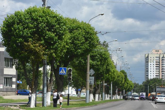 Предложено потесниться. Что даёт подсчёт голосов при общественном обсуждении уплотнительной застройки