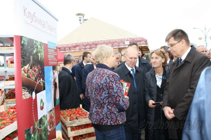 Деловой перекресток. XIX Республиканская универсальная выставка – ярмарка «Еврорегион «Неман-2017» открылась в Гродно (+Видео)
