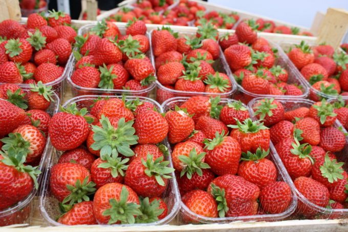 Деловой перекресток. XIX Республиканская универсальная выставка – ярмарка «Еврорегион «Неман-2017» открылась в Гродно (+Видео)