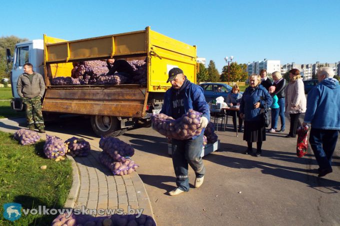 В Волковысском районе прошла первая осенняя ярмарка