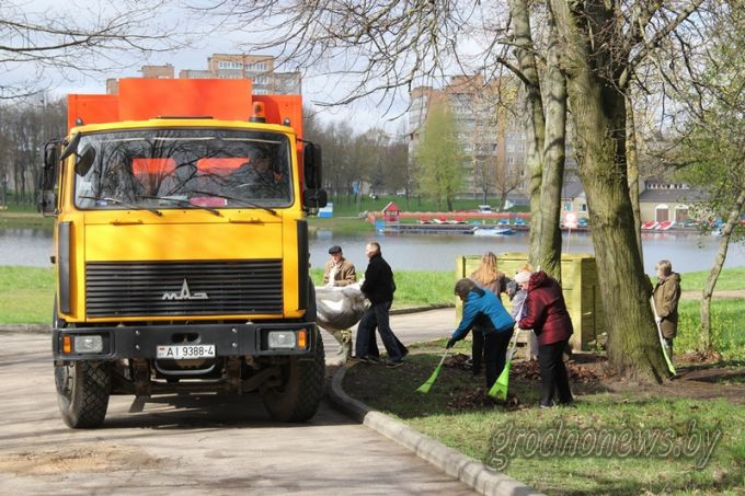 Стань лесу другом. Что нужно знать об акции «Чистый лес»?