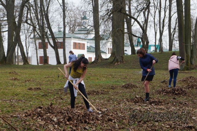 Стань лесу другом. Что нужно знать об акции «Чистый лес»?
