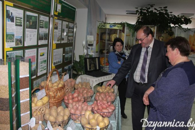 Где соблюдаются технологии, там получают прибыль. В Щучине прошел областной семинар по вопросам развития сельскохозяйственной отрасли