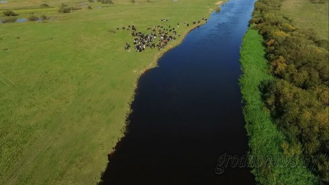 Проект "ГП" "Над Неманом": река набирает мощь