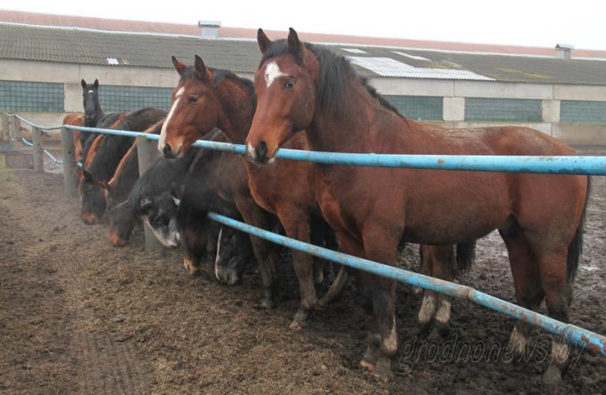 Год без визы. Как это было (ФОТО)
