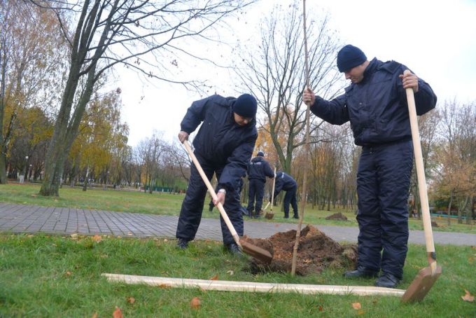 Фотофакт. В Гомеле появилась аллея управления Следственного комитета
