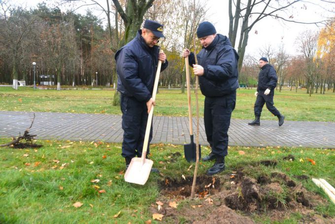 Фотофакт. В Гомеле появилась аллея управления Следственного комитета