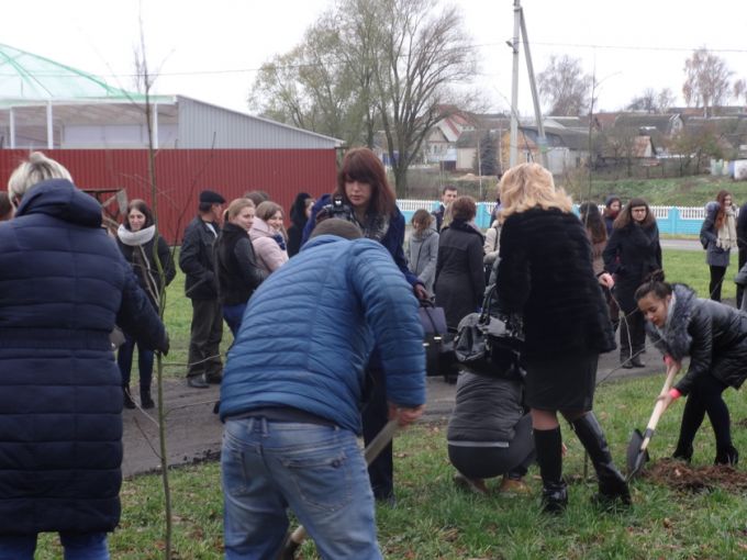 Молодые специалисты заложили в Поколюбичах рябиновую Аллею Славы