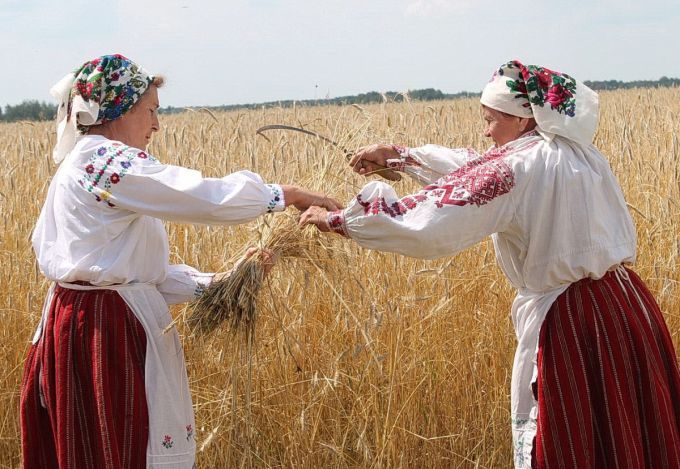 Амаль ва ўсіх гаспадарках Калінкавіцкага раёна прайшлі зажынкі