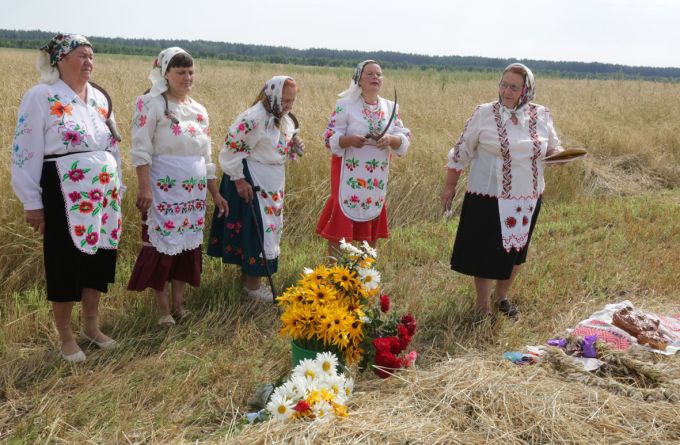 Амаль ва ўсіх гаспадарках Калінкавіцкага раёна прайшлі зажынкі