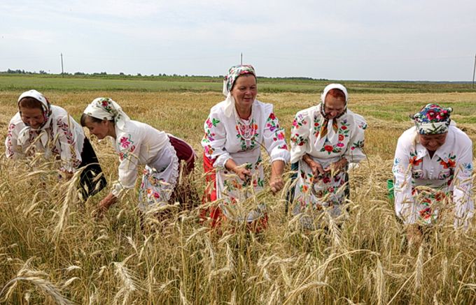 Амаль ва ўсіх гаспадарках Калінкавіцкага раёна прайшлі зажынкі