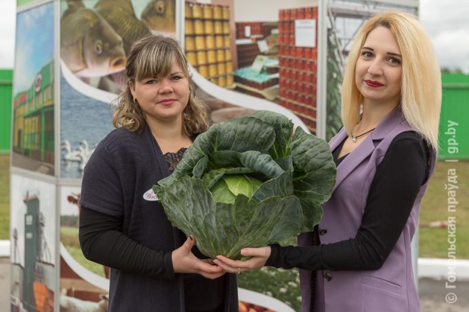 Витаминная тема в Урицком: овощей хватит всем, не разочаруют и цены