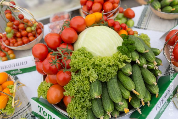 Витаминная тема в Урицком: овощей хватит всем, не разочаруют и цены