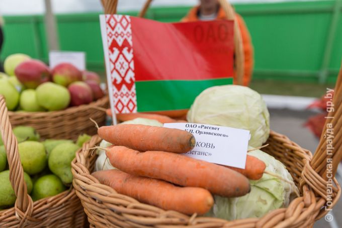 Витаминная тема в Урицком: овощей хватит всем, не разочаруют и цены