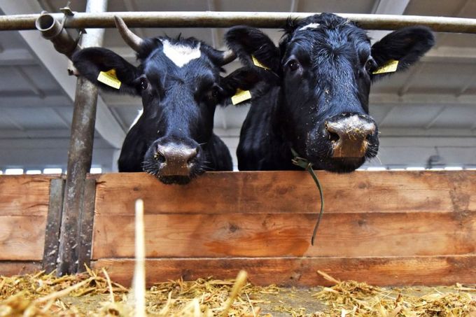 Гомельский химзавод поздравил коллектив «Морозовичи-Агро» с профессиональным праздником