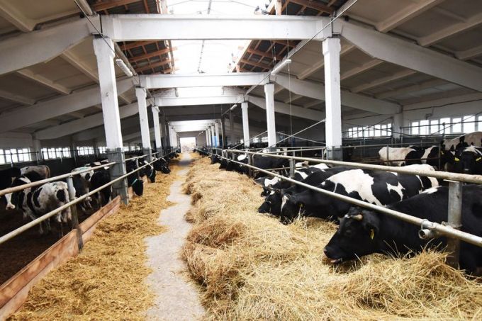 Гомельский химзавод поздравил коллектив «Морозовичи-Агро» с профессиональным праздником